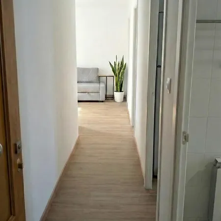 Nordic Weiss - Centro - 5 Pax